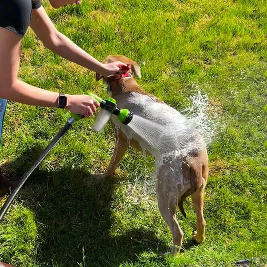 BUY 2 GET 10% OFF The Original Pup Jet