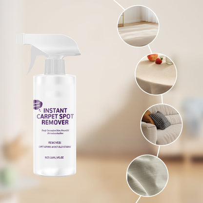 Multipurpose Powerful Quick-Drying Carpet Cleaner